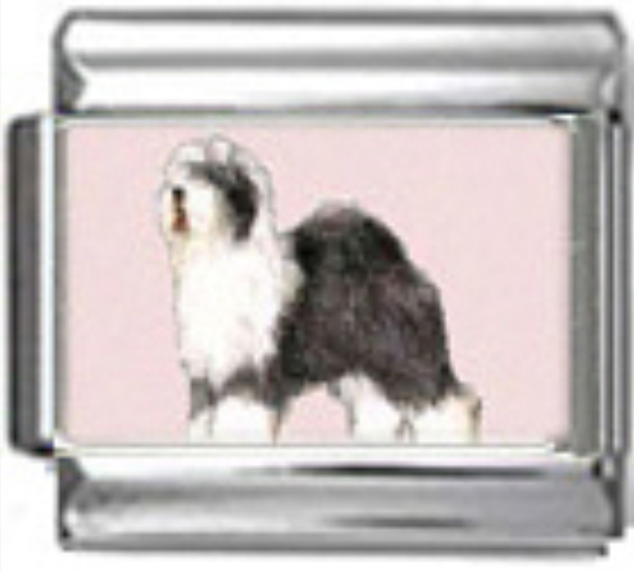 DG188-English-Sheepdog-Dog-1