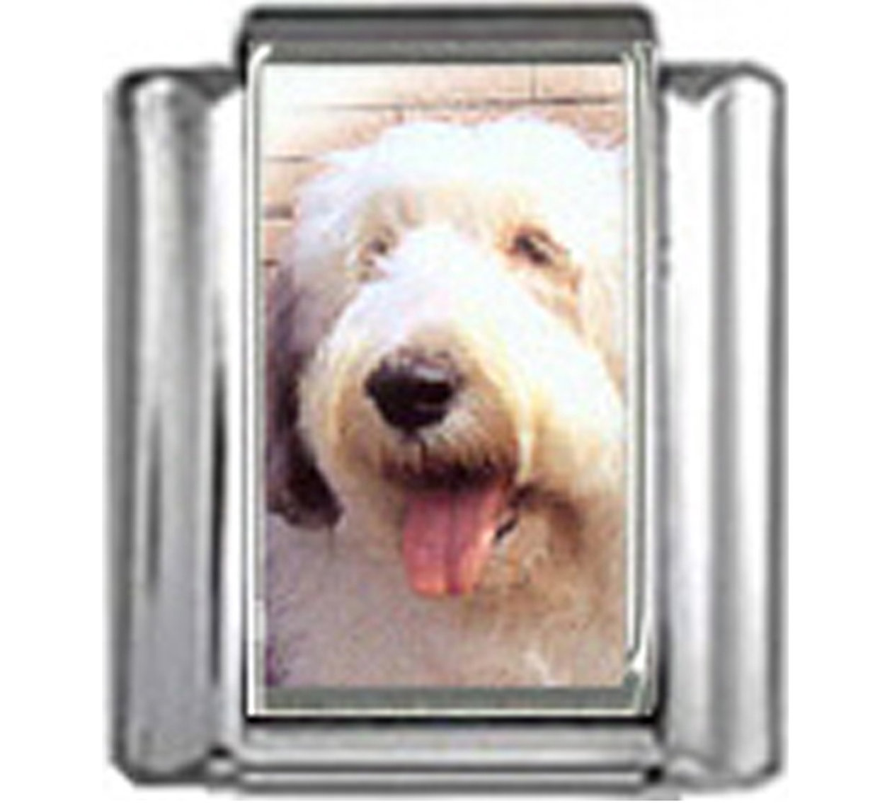 DG189-English-Sheepdog-Dog-2