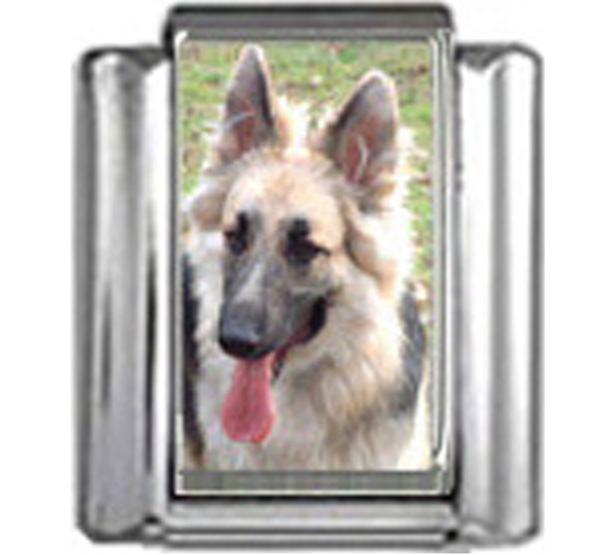 DG206-German-Shepherd-Dog-2