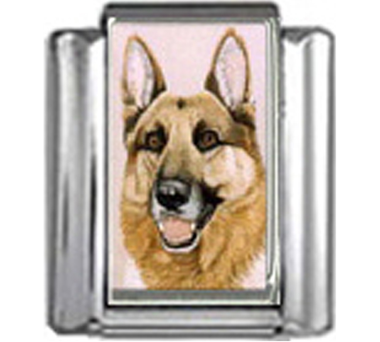 DG207-German-Shepherd-Dog-3