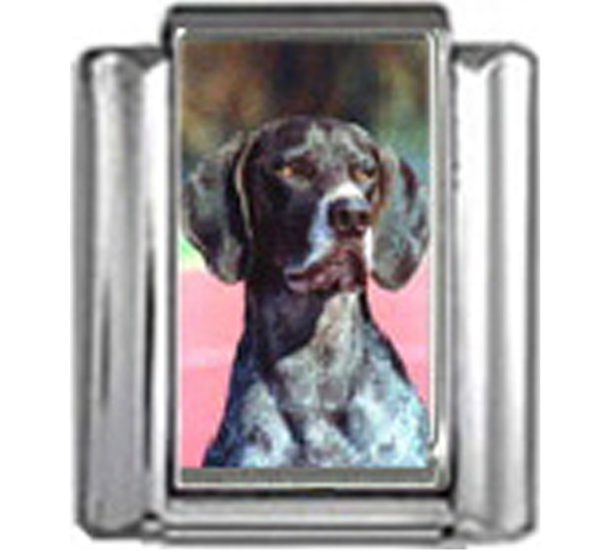 DG213-German-Shorthaired-Pointer-Dog-4