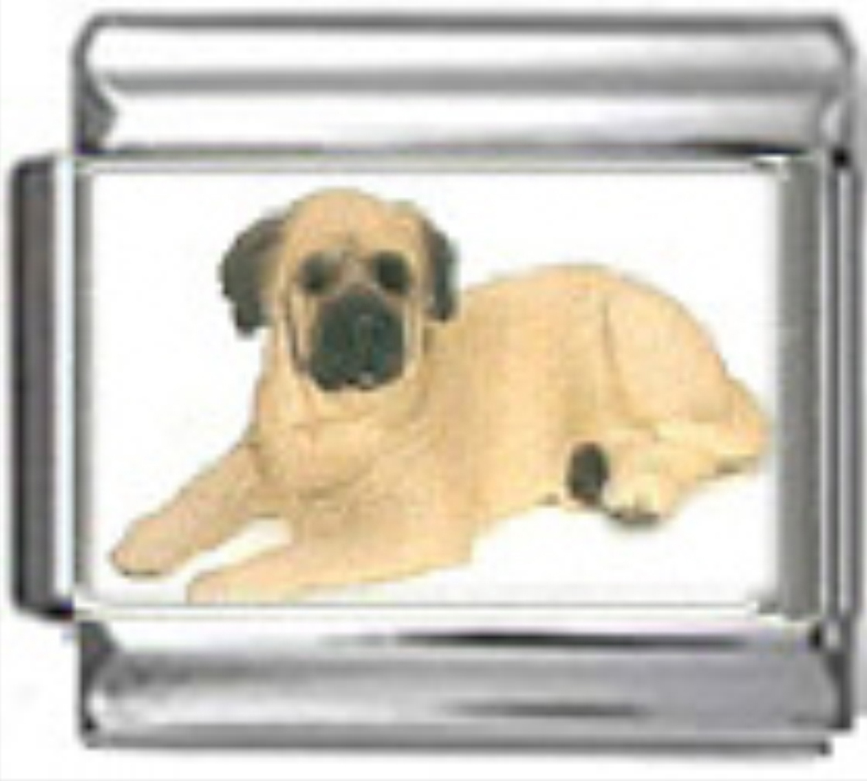 DG276-Mastiff-Dog-1