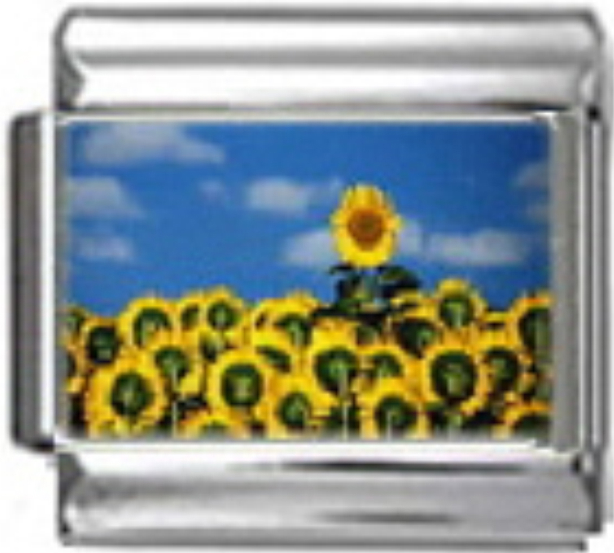 GA026-Sunflower-Field