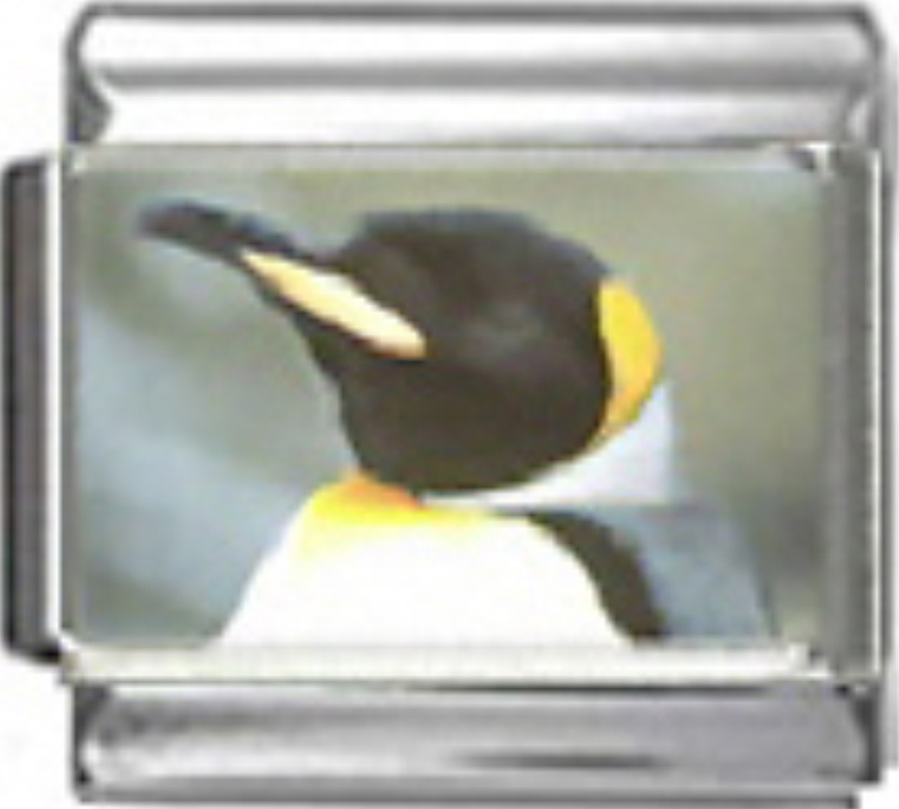 OC010-Penguin