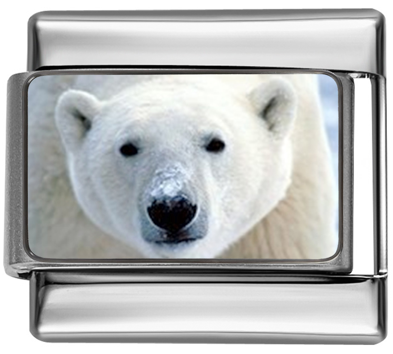 OC017-Polar-Bear