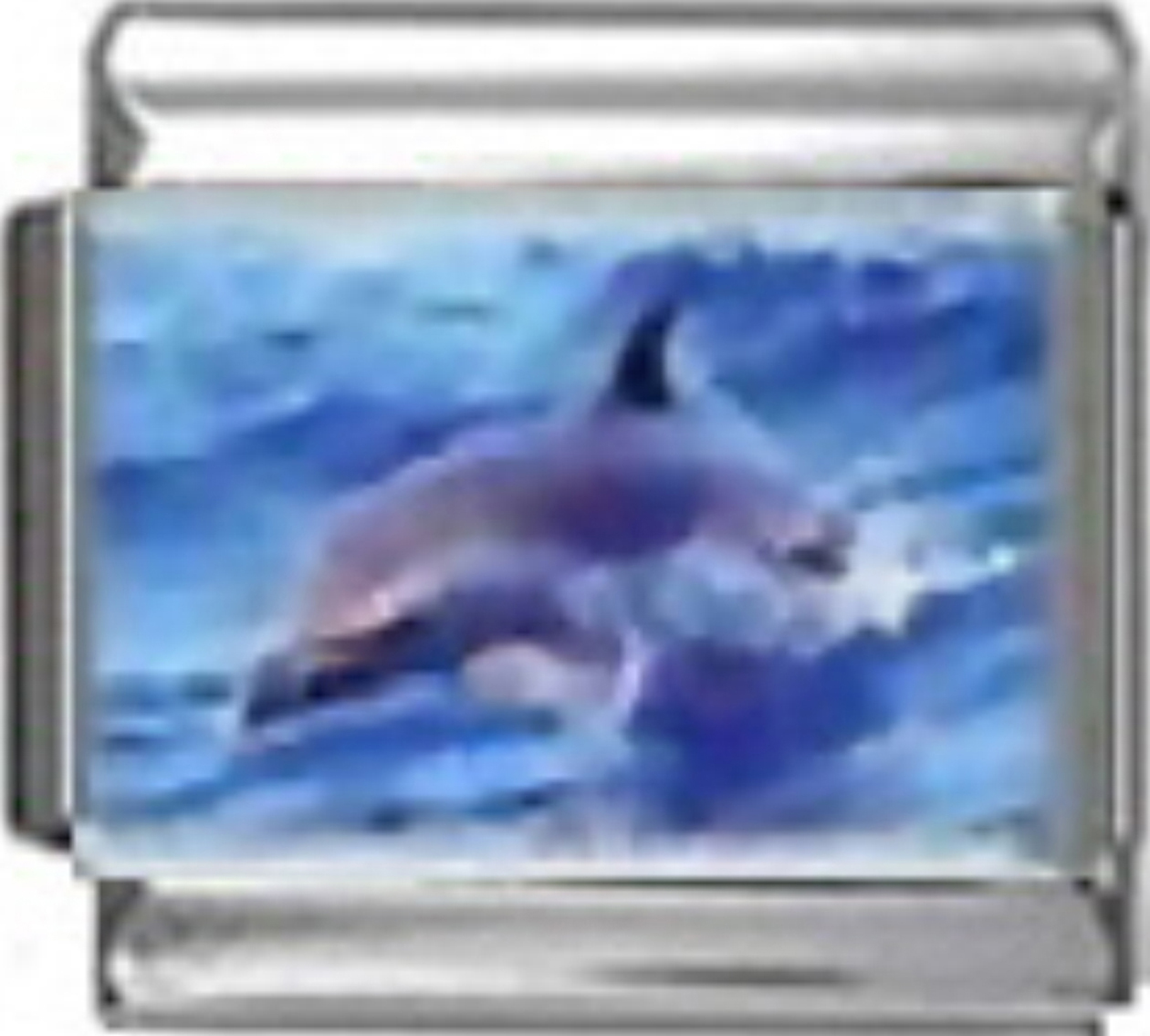 OC054-Dolphin-Jumping