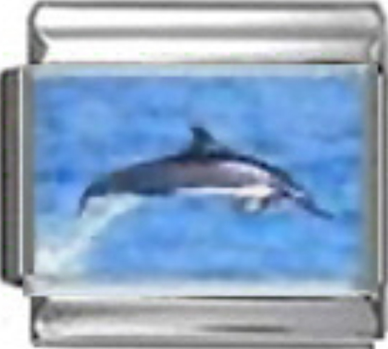 OC056-Dolphin-Jumping