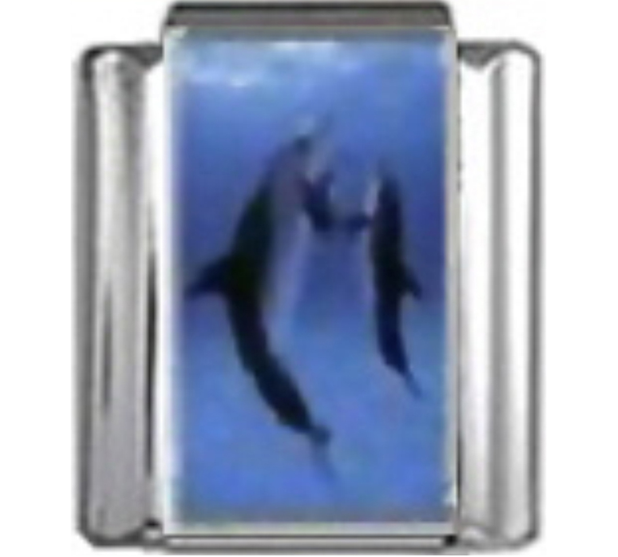 OC057-Dolphins-Jumping