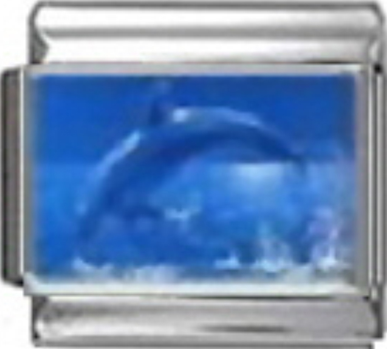 OC059-Dolphin-Jumping