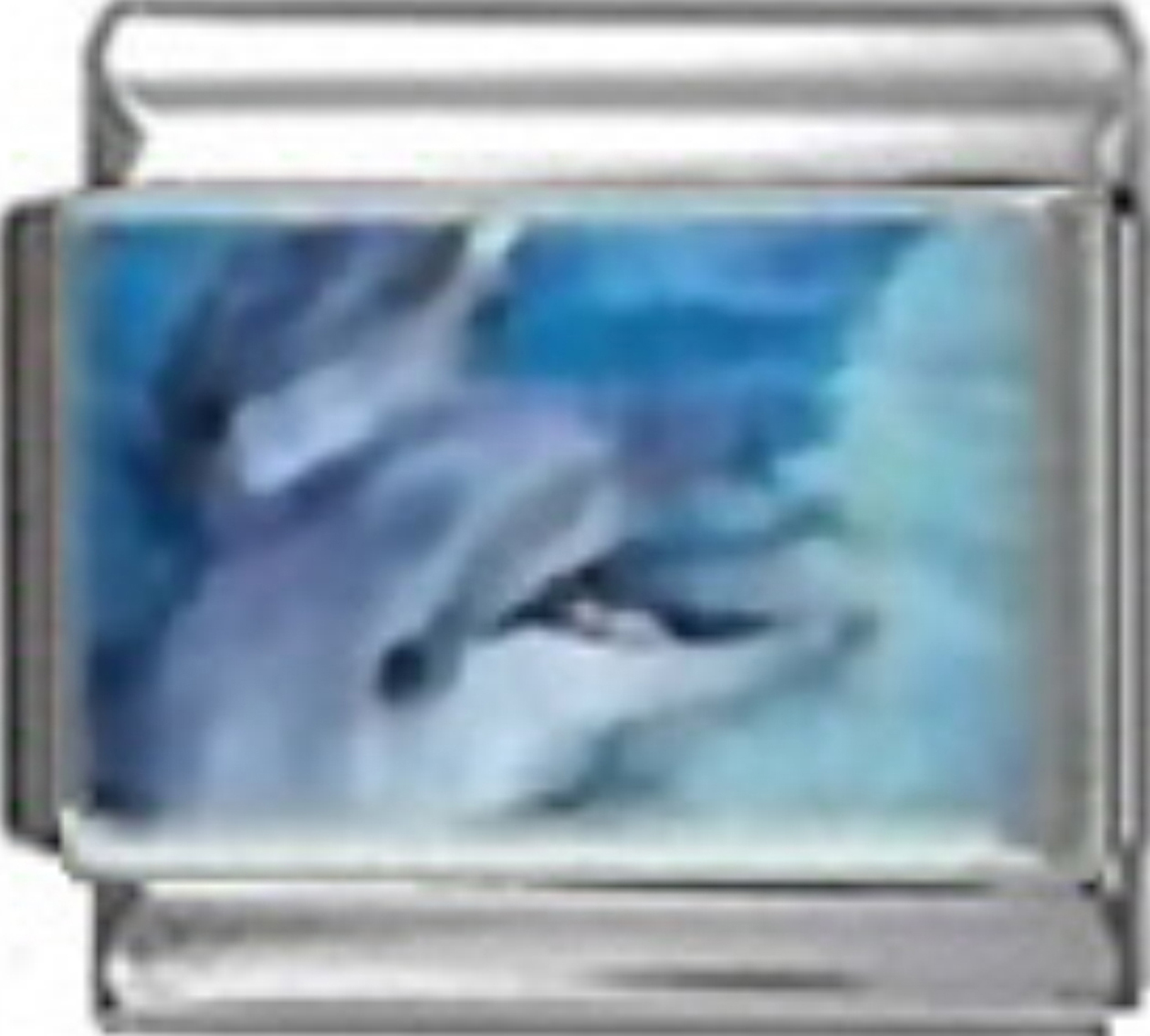 OC060-Dolphin-Talking