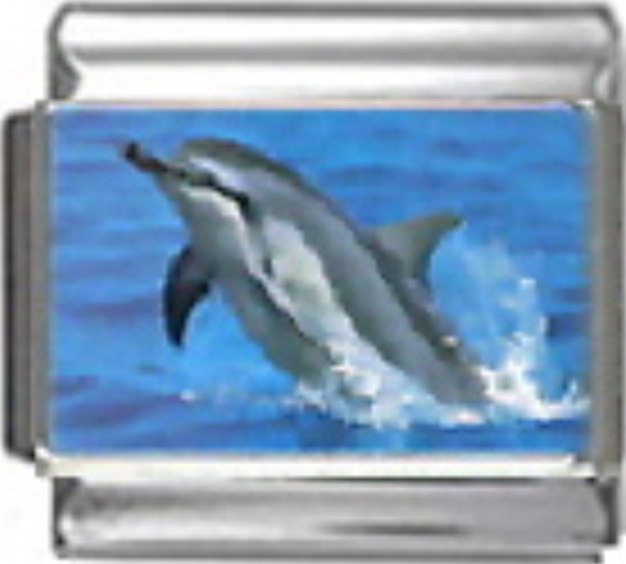 OC075-Dolphin-Jumping