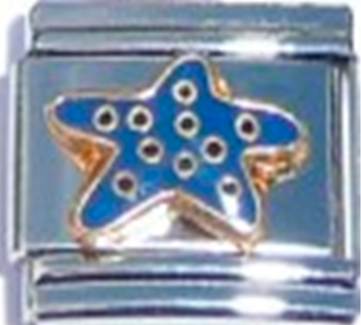OC150-Blue-Starfish