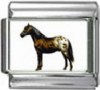 //HO039-Falabella-Horse