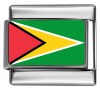 PC074-Guyana-Flag